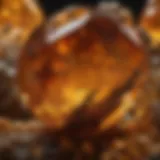 A close-up view of a piece of amber showcasing its unique inclusions and translucence.