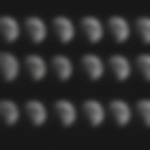 Illustration of the lunar phases