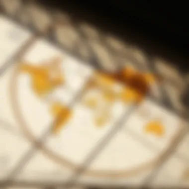 Celestial Influences on Geographical Locations Astrocartography map showcasing celestial influences across the globe.