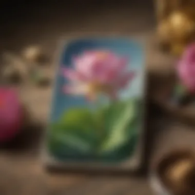 A close-up of a tarot deck with a lotus flower in the background, symbolizing growth