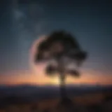 A stunning full moon illuminating a serene night sky