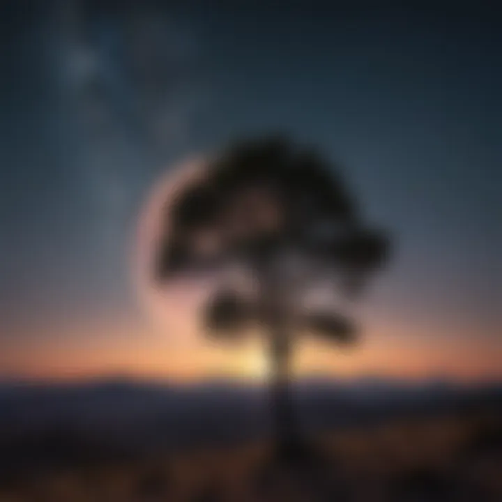 A stunning full moon illuminating a serene night sky