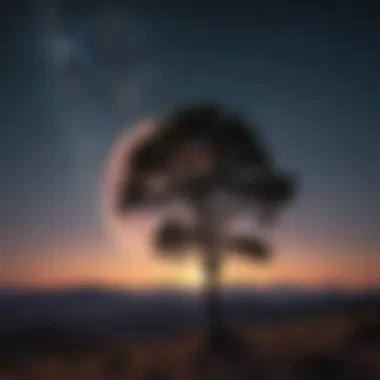 Illuminated Night Sky A stunning full moon illuminating a serene night sky