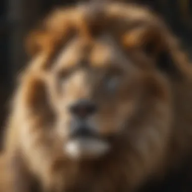 Lion Strength in Daily Tarot Insights A close-up view of tarot cards featuring a lion, emphasizing strength and courage.