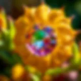 The vibrant hues of the October birthstone