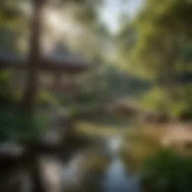 Outdoor Serenity: Feng Shui in Nature A serene outdoor space reflecting the balance of nature and personal energy through Bagua practices.