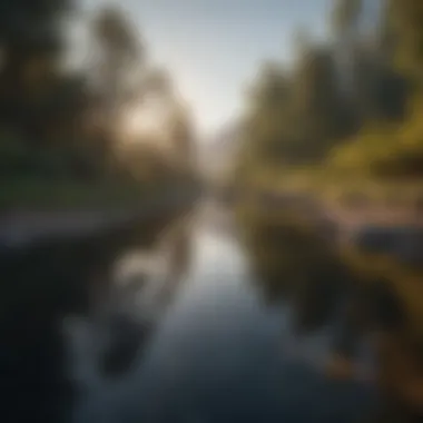 Serene Landscape Symbolizing Personal Growth A serene landscape symbolizing personal growth and direction
