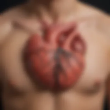 Interpreting the Heart Line Detailed illustration of the heart line with annotations