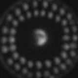 Phases of the Moon in a Circular Pattern