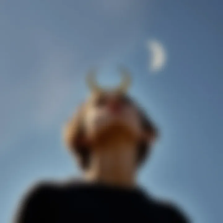 A person gazing at a starry sky, contemplating their astrological signs